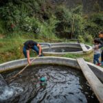 rainwater harvesting systems
