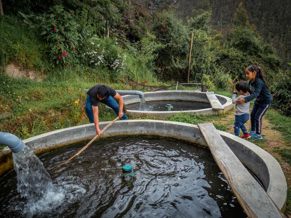 Catch the Rain: Transform Your Urban Garden with Rainwater Harvesting Systems