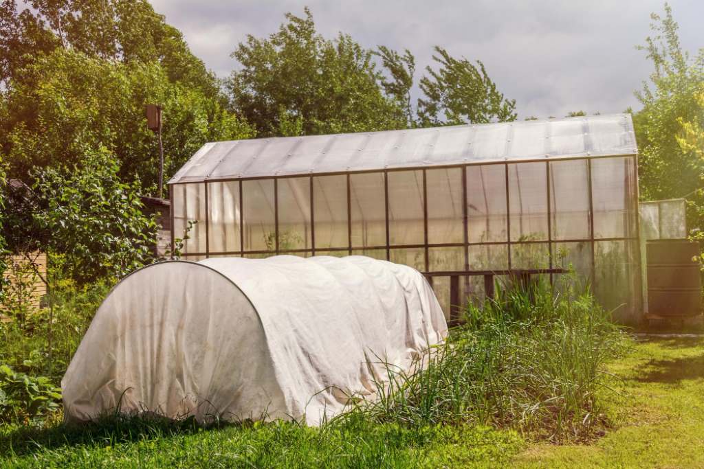 Why Choose a DIY Greenhouse from Recycled Materials