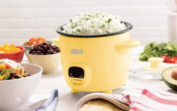 Compact lavender Dash rice cooker on kitchen counter with steamed rice.